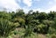55 Bruce Avenue, Glenview, Hamilton - Carousel 25