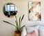 8 Arrow Street, Washington Valley, Nelson - Carousel 15