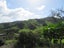 320 Takahue Saddle Road, Takahue, Kaitaia - Carousel 2