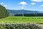 151A Woodside Road, Woodside, Greytown - Carousel 17
