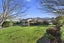 7 Halcione Close, Flagstaff, Hamilton - Carousel 1