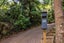 39 Wilma Road, Ostend, Waiheke Island - Carousel 31