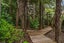 703F Ridge Road, Albany - Carousel 22