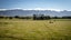 593 East Taratahi Road, East Taratahi, Carterton - Carousel 1