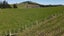 3345A Weber Road, Dannevirke, Tararua, Manawatu / Whanganui - Carousel 11