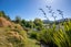 56 Wellington Street, Nelson South, Nelson - Carousel 23