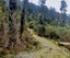0 Paringa River, Paringa, Haast - Carousel 5