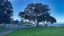 85 John Downs Drive, Browns Bay, Auckland - Carousel 16