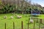 1288 Richmond Road, Everett Park, Inglewood - Carousel 27