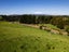 0 Ruatiti Rd, Ruatiti - Carousel 1