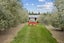 61 Calders Road, Christchurch - Carousel 18