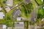16 Stoll Place, Clendon Park, Auckland - Carousel 7