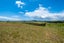6 Bobs Way, Kaingaroa - Carousel 17