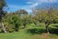 1187 Takaka-Collingwood Highway, Takaka - Carousel 25