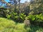 79 Woods Road South, Colville, Coromandel - Carousel 16