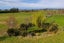 137 Harnetts Road, Kaikoura, Kaikoura, Marlborough - Carousel 40