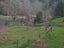 86A Te Puna Quarry Road, Whakamaramara, Western Bay Of Plenty - Carousel 36
