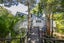 9 Dorothy Road, Laingholm, Auckland - Carousel 5