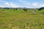 90D Leccino Valley Road, Mangonui, Mangōnui - Carousel 4