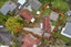 10 Korcula Place, Avondale, Auckland - Carousel 20