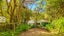 47 Hill Road, Palm Beach, Waiheke Island - Carousel 2