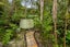 56 Tanekaha Road, Titirangi, Auckland - Carousel 4