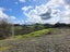 1344 State Highway 12, Oue, Kaikohe - Carousel 20