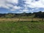 40 Driver Street, Long Beach, Port Chalmers - Carousel 2
