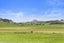 6170 State Highway 12, Arapohue, Dargaville - Carousel 21