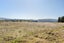 0 McPherson Road, Earnscleugh, Alexandra - Carousel 8