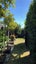 10 Inaka Street, Lincoln, Lincoln - Carousel 11