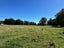 610 Raetihi Ohakune Road, Ohakune - Carousel 6