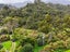 3454 State Highway 6, BARRYTOWN, GREYMOUTH - Carousel 2
