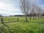 329 Wallacetown Lorneville Highway, Makarewa, Invercargill - Carousel 46