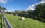 9 Nihotetea Lane, Maunu, Whangarei - Carousel 27