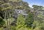23 Scenic Drive, Titirangi, Auckland - Carousel 29