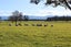 368 Balfour Road, Ashley Clinton, Takapau - Carousel 15