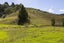 496A Backriver Road, Mangonui, Mangonui - Carousel 9