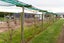 360 Ashburton Staveley Road, Greenstreet, Ashburton - Carousel 24