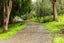 14 Woodland Road, Maungaturoto, Maungaturoto - Carousel 5