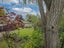 484 College Street, Hokowhitu, Palmerston North - Carousel 19