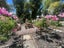 74A Astley Avenue, New Lynn, Auckland - Carousel 3