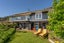 191 Buffalo Beach Sh25 Road, WHITIANGA, Whitianga - Carousel 7