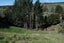 207C State Highway 30, TIKITERE, Rotorua - Carousel 22
