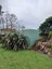6 Driftwood Lane, Hihi - Carousel 20