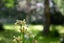 0 Norsewood Ormondville Rd, Norsewood - Carousel 15