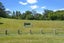 3 Eleanor Place, Blockhouse Bay, Auckland - Carousel 9