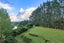 1278 Horotiu Road, Whatawhata - Carousel 37