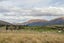 317 Crown Range Road, Arrow Junction, Queenstown - Carousel 20