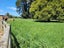 954 Temuka - Orari Highway, ORARI, TEMUKA - Carousel 31